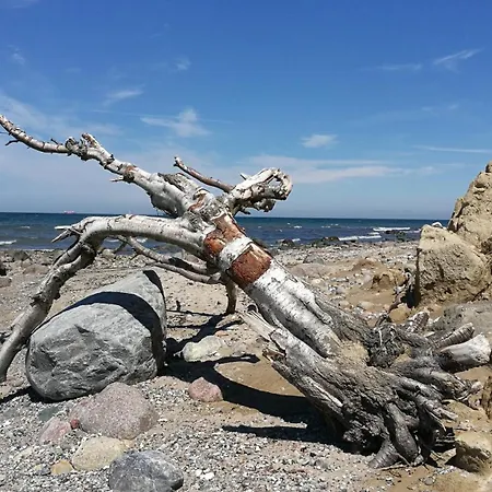Lanckens Klint - Auszeit Zwischen Bodden & Lancken