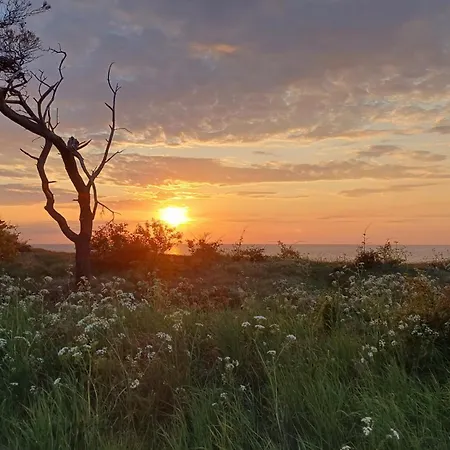 Auszeit Zwischen Bodden & Vakantiehuis Lancken