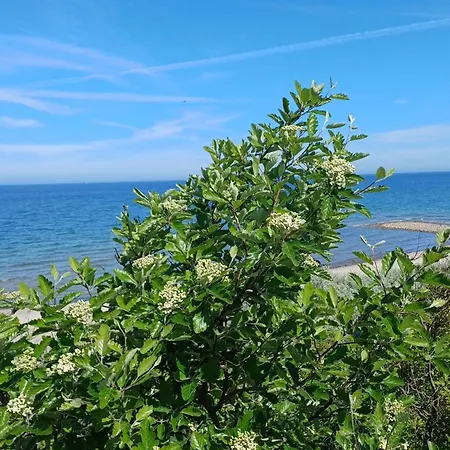 Vakantiehuis Auszeit Zwischen Bodden & *